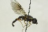 ( - CollHH1574)  @11 [ ] Creative Commons  Attribution Non-Commercial Share-Alike (2018) Hakon Haraldseide Unspecified