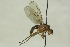  ( - CollHH1577)  @11 [ ] Creative Commons  Attribution Non-Commercial Share-Alike (2018) Hakon Haraldseide Unspecified