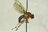  ( - CollHH1578)  @11 [ ] Creative Commons  Attribution Non-Commercial Share-Alike (2018) Hakon Haraldseide Unspecified