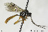  ( - CollHH158)  @13 [ ] CreativeCommons - Attribution Non-Commercial No Derivatives (2018) Hakon Haraldseide NTNU University Museum, Department of Natural History