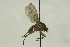  ( - CollHH1583)  @13 [ ] Creative Commons  Attribution Non-Commercial Share-Alike (2018) Hakon Haraldseide Unspecified