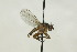  ( - CollHH1587)  @11 [ ] Creative Commons  Attribution Non-Commercial Share-Alike (2018) Hakon Haraldseide Unspecified