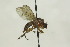  ( - CollHH1598)  @12 [ ] Creative Commons  Attribution Non-Commercial Share-Alike (2018) Hakon Haraldseide Unspecified