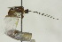  ( - CollHH1615)  @12 [ ] Creative Commons  Attribution Non-Commercial Share-Alike (2018) Hakon Haraldseide Unspecified