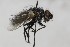  ( - CollHH1624)  @11 [ ] Creative Commons  Attribution Non-Commercial Share-Alike (2018) Hakon Haraldseide Unspecified