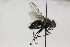  ( - CollHH1625)  @11 [ ] Creative Commons  Attribution Non-Commercial Share-Alike (2018) Hakon Haraldseide Unspecified