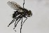 ( - CollHH1626)  @11 [ ] Creative Commons  Attribution Non-Commercial Share-Alike (2018) Hakon Haraldseide Unspecified