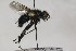  ( - CollHH1630)  @12 [ ] Creative Commons  Attribution Non-Commercial Share-Alike (2018) Hakon Haraldseide Unspecified