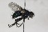  ( - CollHH1631)  @13 [ ] Creative Commons  Attribution Non-Commercial Share-Alike (2018) Hakon Haraldseide Unspecified