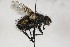  ( - CollHH1638)  @11 [ ] Creative Commons  Attribution Non-Commercial Share-Alike (2018) Hakon Haraldseide Unspecified