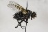  ( - CollHH1639)  @11 [ ] Creative Commons  Attribution Non-Commercial Share-Alike (2018) Hakon Haraldseide Unspecified