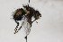  ( - CollHH1640)  @11 [ ] Creative Commons  Attribution Non-Commercial Share-Alike (2018) Hakon Haraldseide Unspecified