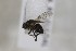  ( - CollHH1667)  @11 [ ] Creative Commons  Attribution Non-Commercial Share-Alike (2018) Hakon Haraldseide Unspecified