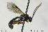  ( - CollHH167)  @14 [ ] CreativeCommons - Attribution Non-Commercial Share-Alike (2018) Hakon Haraldseide NTNU University Museum, Department of Natural History