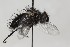  ( - CollHH1683)  @13 [ ] Creative Commons  Attribution Non-Commercial Share-Alike (2018) Hakon Haraldseide Unspecified