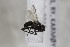  ( - CollHH1686)  @11 [ ] Creative Commons  Attribution Non-Commercial Share-Alike (2018) Hakon Haraldseide Unspecified