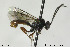  ( - CollHH169)  @14 [ ] CreativeCommons - Attribution Non-Commercial Share-Alike (2018) Hakon Haraldseide NTNU University Museum, Department of Natural History