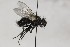  ( - CollHH1705)  @12 [ ] Creative Commons  Attribution Non-Commercial Share-Alike (2018) Hakon Haraldseide Unspecified