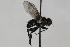  (Medina separata - CollHH1713)  @13 [ ] Creative Commons  Attribution Non-Commercial Share-Alike (2018) Hakon Haraldseide Unspecified