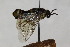  ( - CollHH1724)  @12 [ ] Creative Commons  Attribution Non-Commercial Share-Alike (2018) Hakon Haraldseide Unspecified