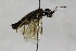  ( - CollHH1727)  @12 [ ] Creative Commons  Attribution Non-Commercial Share-Alike (2018) Hakon Haraldseide Unspecified