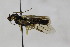  ( - CollHH1728)  @11 [ ] Creative Commons  Attribution Non-Commercial Share-Alike (2018) Hakon Haraldseide Unspecified