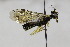  ( - CollHH1729)  @11 [ ] Creative Commons  Attribution Non-Commercial Share-Alike (2018) Hakon Haraldseide Unspecified