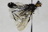  ( - CollHH1730)  @11 [ ] Creative Commons  Attribution Non-Commercial Share-Alike (2018) Hakon Haraldseide Unspecified