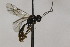  ( - CollHH1751)  @13 [ ] Creative Commons  Attribution Non-Commercial Share-Alike (2018) Hakon Haraldseide Unspecified