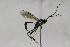  ( - CollHH1758)  @12 [ ] Creative Commons  Attribution Non-Commercial Share-Alike (2018) Hakon Haraldseide Unspecified