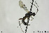  ( - CollHH176)  @13 [ ] CreativeCommons - Attribution Non-Commercial Share-Alike (2018) Hakon Haraldseide NTNU University Museum, Department of Natural History