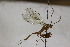  ( - CollHH1777)  @11 [ ] Creative Commons  Attribution Non-Commercial Share-Alike (2018) Hakon Haraldseide Unspecified