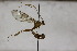 ( - CollHH1778)  @11 [ ] Creative Commons  Attribution Non-Commercial Share-Alike (2018) Hakon Haraldseide Unspecified