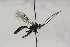  ( - CollHH1786)  @11 [ ] Creative Commons  Attribution Non-Commercial Share-Alike (2018) Hakon Haraldseide Unspecified