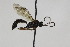  ( - CollHH1813)  @12 [ ] Creative Commons  Attribution Non-Commercial Share-Alike (2018) Hakon Haraldseide Unspecified