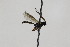  ( - CollHH1820)  @12 [ ] Creative Commons  Attribution Non-Commercial Share-Alike (2018) Hakon Haraldseide Unspecified