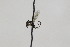 ( - CollHH1827)  @11 [ ] Creative Commons  Attribution Non-Commercial Share-Alike (2018) Hakon Haraldseide Unspecified