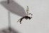  ( - CollHH1828)  @12 [ ] Creative Commons  Attribution Non-Commercial Share-Alike (2018) Hakon Haraldseide Unspecified