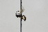  ( - CollHH1829)  @12 [ ] Creative Commons  Attribution Non-Commercial Share-Alike (2018) Hakon Haraldseide Unspecified