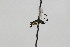  ( - CollHH1831)  @12 [ ] Creative Commons  Attribution Non-Commercial Share-Alike (2018) Hakon Haraldseide Unspecified