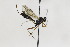  ( - CollHH1838)  @12 [ ] Creative Commons  Attribution Non-Commercial Share-Alike (2018) Hakon Haraldseide Unspecified