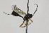 ( - CollHH1839)  @12 [ ] Creative Commons  Attribution Non-Commercial Share-Alike (2018) Hakon Haraldseide Unspecified