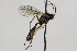  ( - CollHH1840)  @13 [ ] Creative Commons  Attribution Non-Commercial Share-Alike (2018) Hakon Haraldseide Unspecified