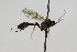  ( - CollHH1843)  @13 [ ] Creative Commons  Attribution Non-Commercial Share-Alike (2018) Hakon Haraldseide Unspecified