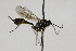  ( - CollHH1844)  @13 [ ] Creative Commons  Attribution Non-Commercial Share-Alike (2018) Hakon Haraldseide Unspecified