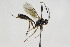  ( - CollHH1846)  @13 [ ] Creative Commons  Attribution Non-Commercial Share-Alike (2018) Hakon Haraldseide Unspecified