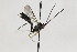 ( - CollHH1853)  @11 [ ] Creative Commons  Attribution Non-Commercial Share-Alike (2018) Hakon Haraldseide Unspecified