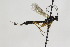  ( - CollHH1878)  @12 [ ] Creative Commons  Attribution Non-Commercial Share-Alike (2018) Hakon Haraldseide Unspecified