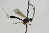  ( - CollHH1883)  @12 [ ] Creative Commons  Attribution Non-Commercial Share-Alike (2018) Hakon Haraldseide Unspecified