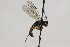 ( - CollHH1903)  @11 [ ] Creative Commons  Attribution Non-Commercial Share-Alike (2018) Hakon Haraldseide Unspecified